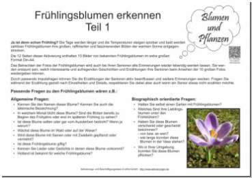 Informationen zu Gesprächsimpulsen für Senioren zum Thema Frühlingsblumen