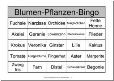 Bingo Spiel Mit Begriffen Und Bingokarten In Dina4 Fur Senioren Demenz